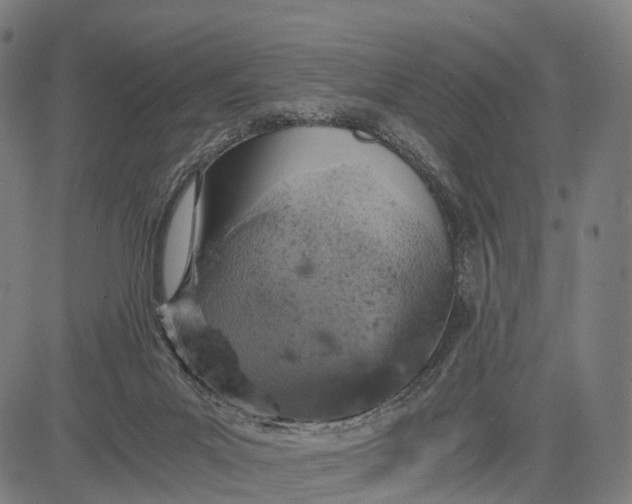 X0000084530023200703091639