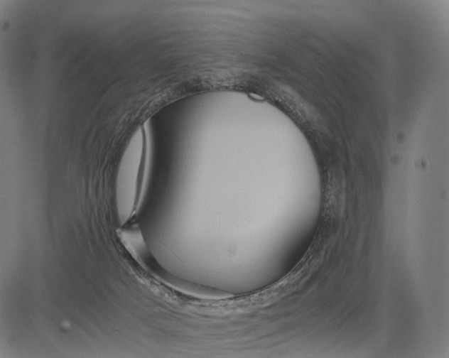 X0000084530025200703091639