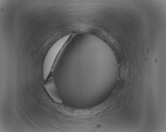 X0000084530027200703091639