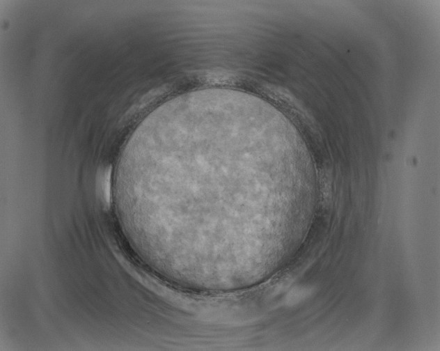 X0000084530028200703091639