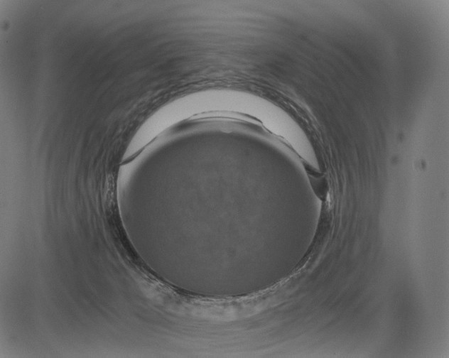 X0000084530029200703091639