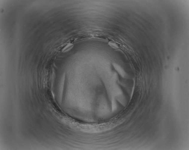 X0000084530030200703091639