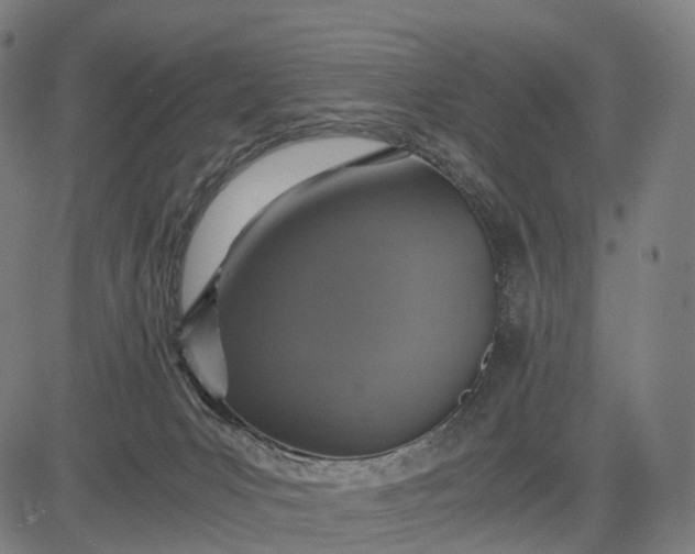 X0000084530031200703091639