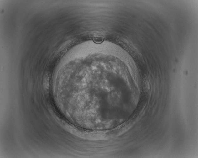 X0000084530032200703091639