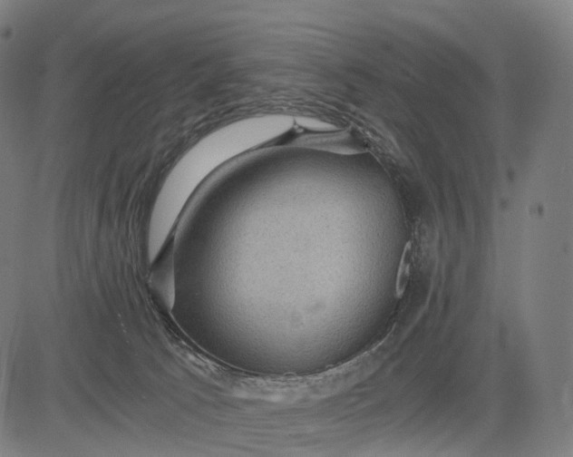 X0000084530033200703091639