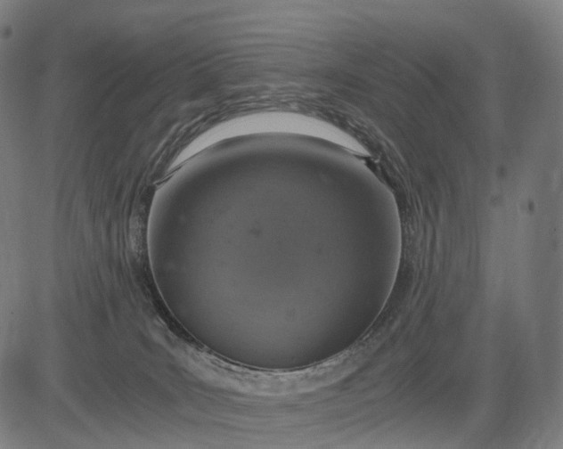 X0000084530035200703091639