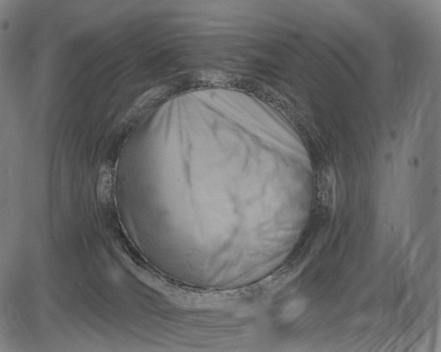 X0000084530036200703091639