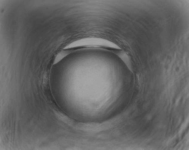 X0000084530037200703091639