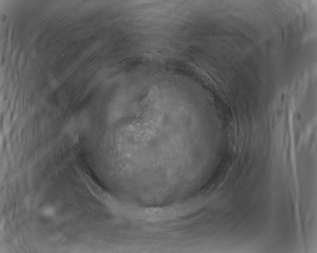 X0000084530038200703091639