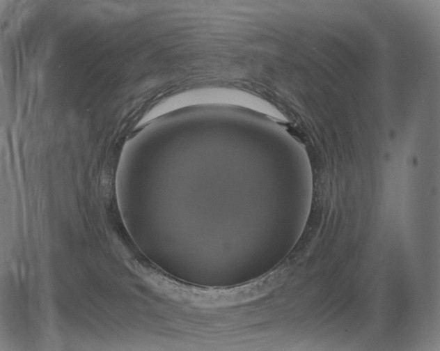 X0000084530039200703091639