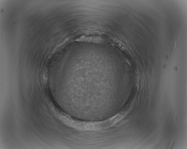 X0000084530040200703091639