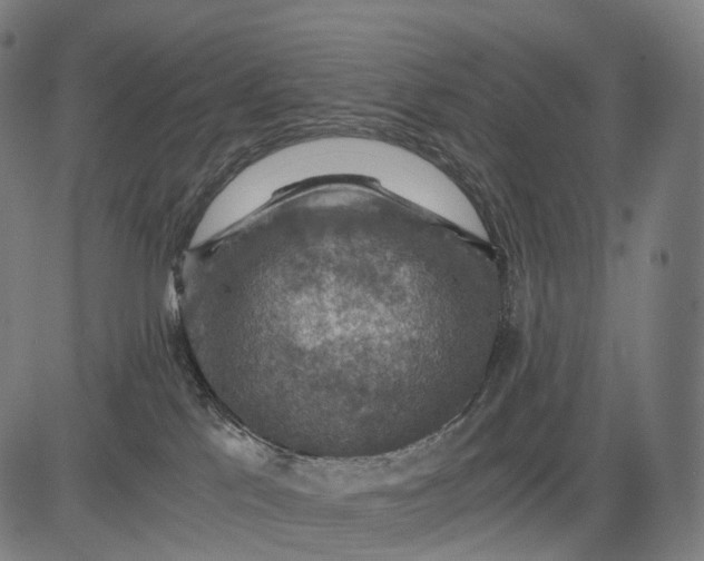 X0000084530041200703091639