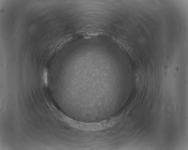 X0000084530042200703091639