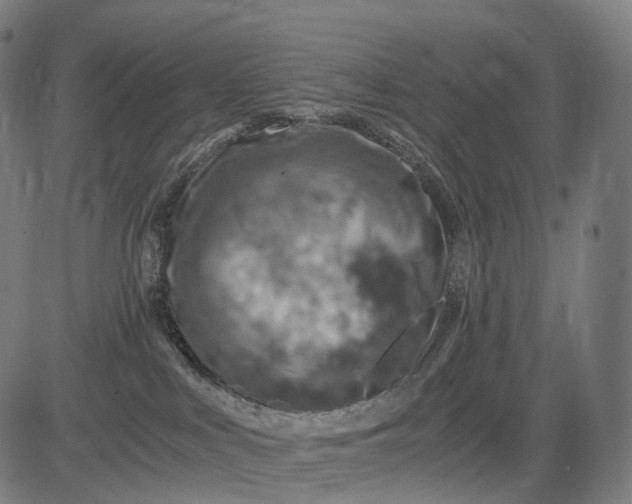 X0000084530043200703091639