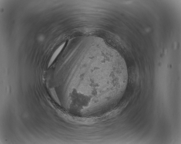 X0000084530044200703091639