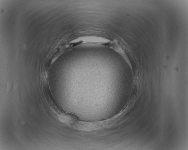 X0000084530045200703091639