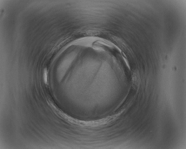 X0000084530046200703091639