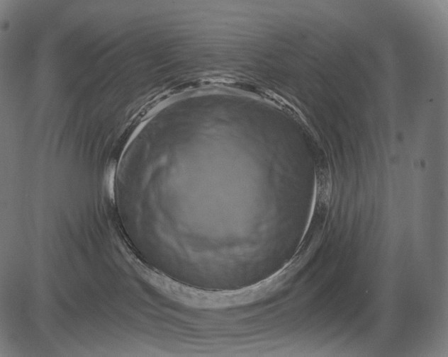 X0000084530047200703091639