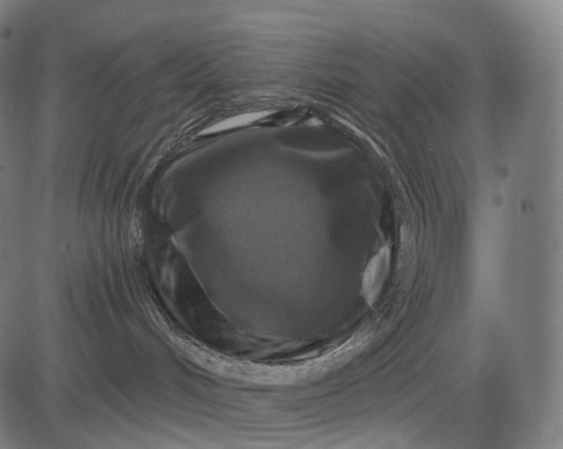 X0000084530048200703091639