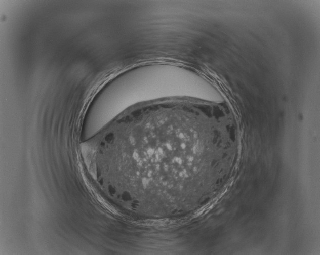 X0000084530049200703091638