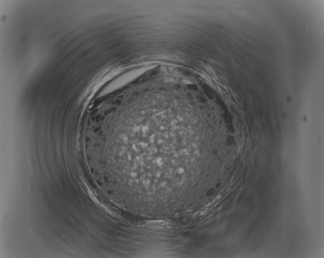 X0000084530050200703091638