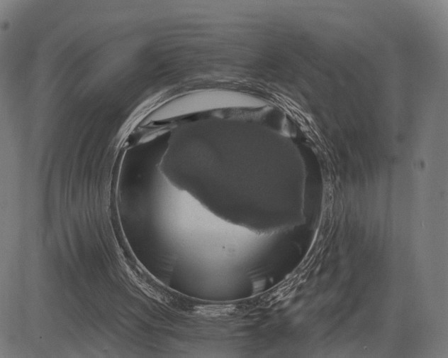 X0000084530051200703091638