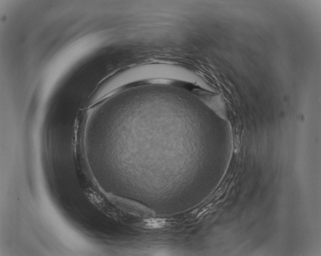 X0000084530052200703091638