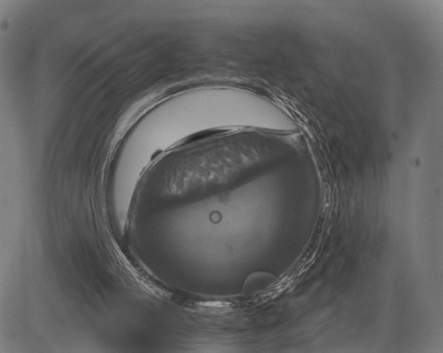 X0000084530053200703091638