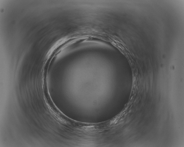 X0000084530054200703091638