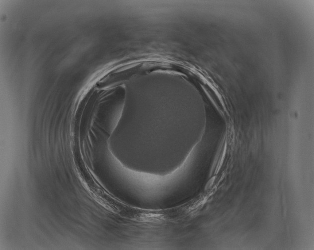 X0000084530055200703091638