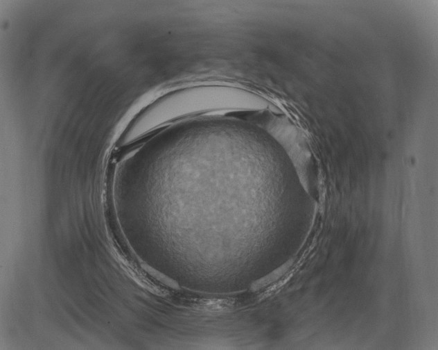 X0000084530056200703091638