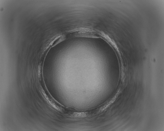 X0000084530057200703091638