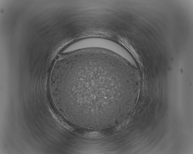 X0000084530058200703091638