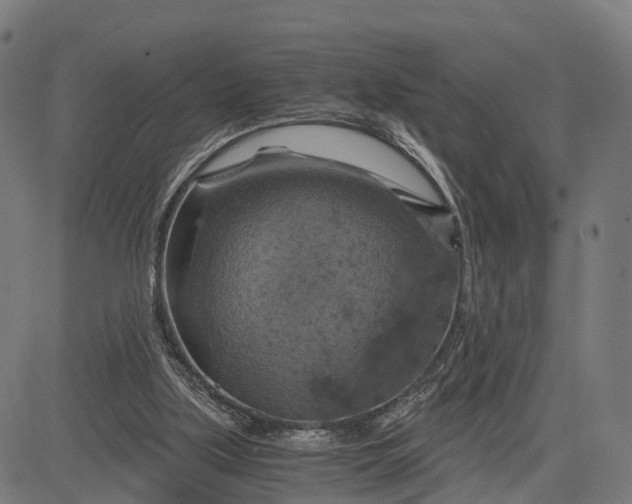 X0000084530059200703091638