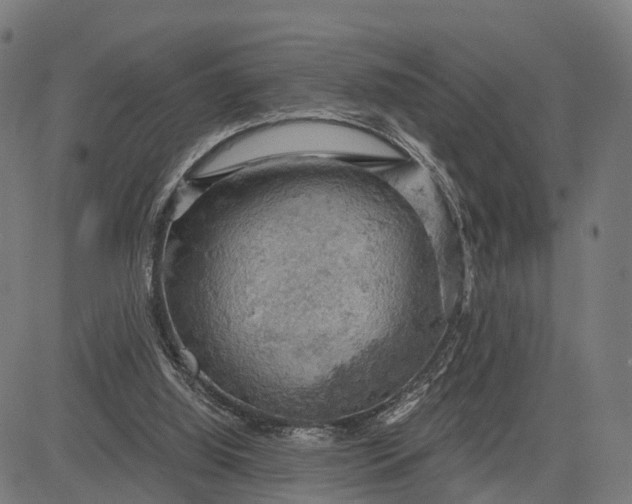 X0000084530060200703091638