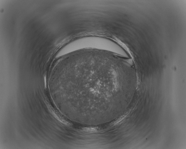 X0000084530061200703091638