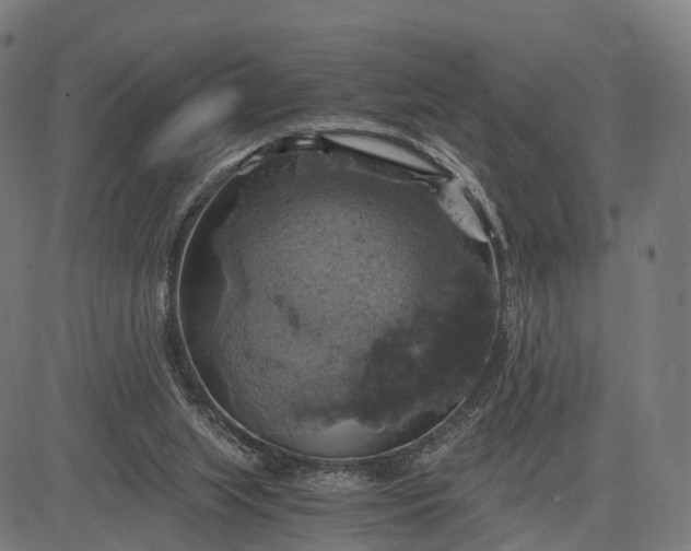 X0000084530063200703091638