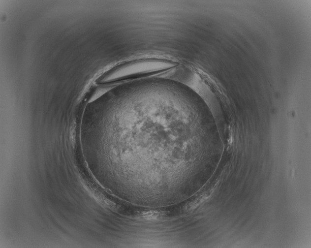 X0000084530064200703091639