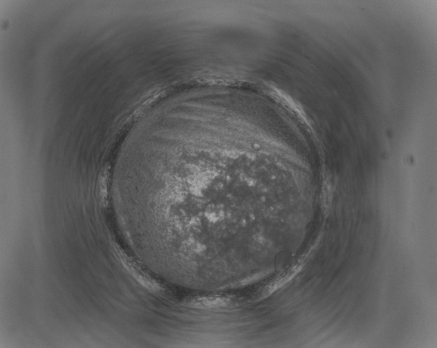 X0000084530065200703091639