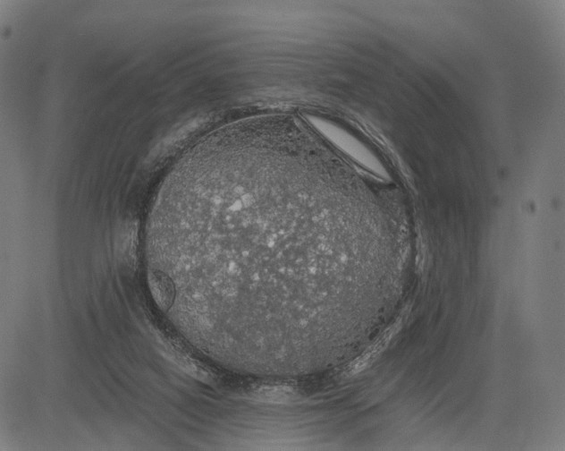 X0000084530066200703091639