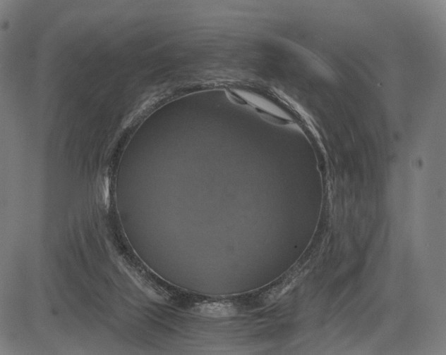 X0000084530067200703091639