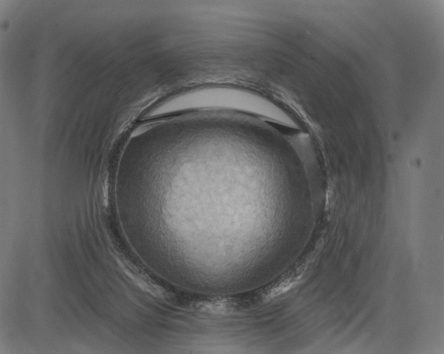 X0000084530068200703091639