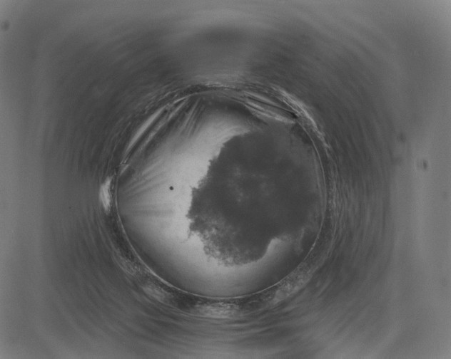 X0000084530069200703091639