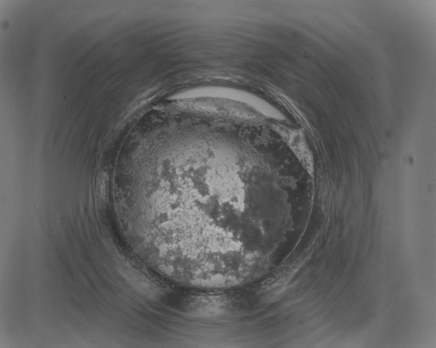 X0000084530071200703091639