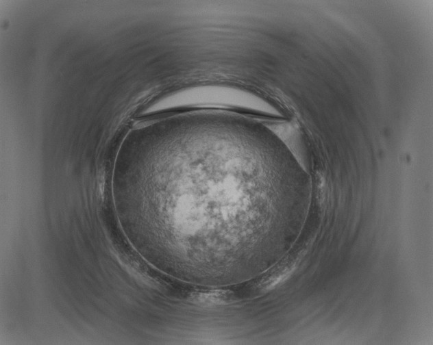 X0000084530072200703091639