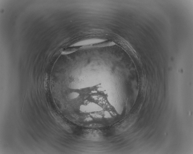 X0000084530073200703091639