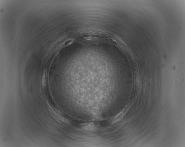 X0000084530074200703091639