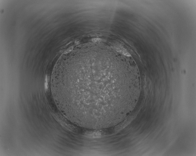 X0000084530075200703091639