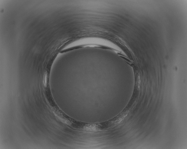 X0000084530076200703091639