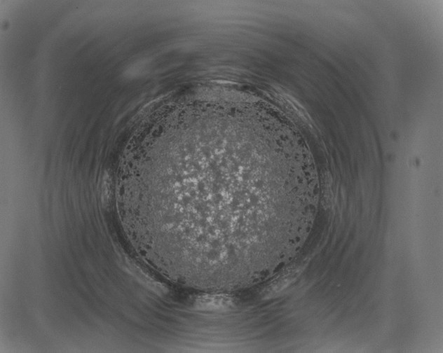 X0000084530077200703091639